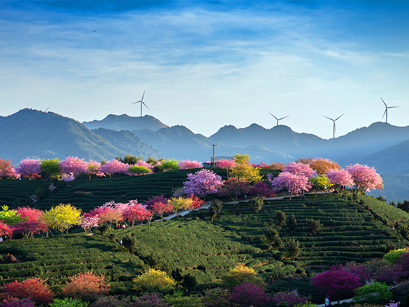 黃河入海處，看見中國綠色低碳未來