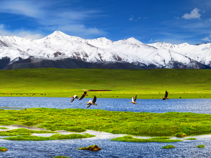 2025年《氣候變化動態》月刊（第10期）